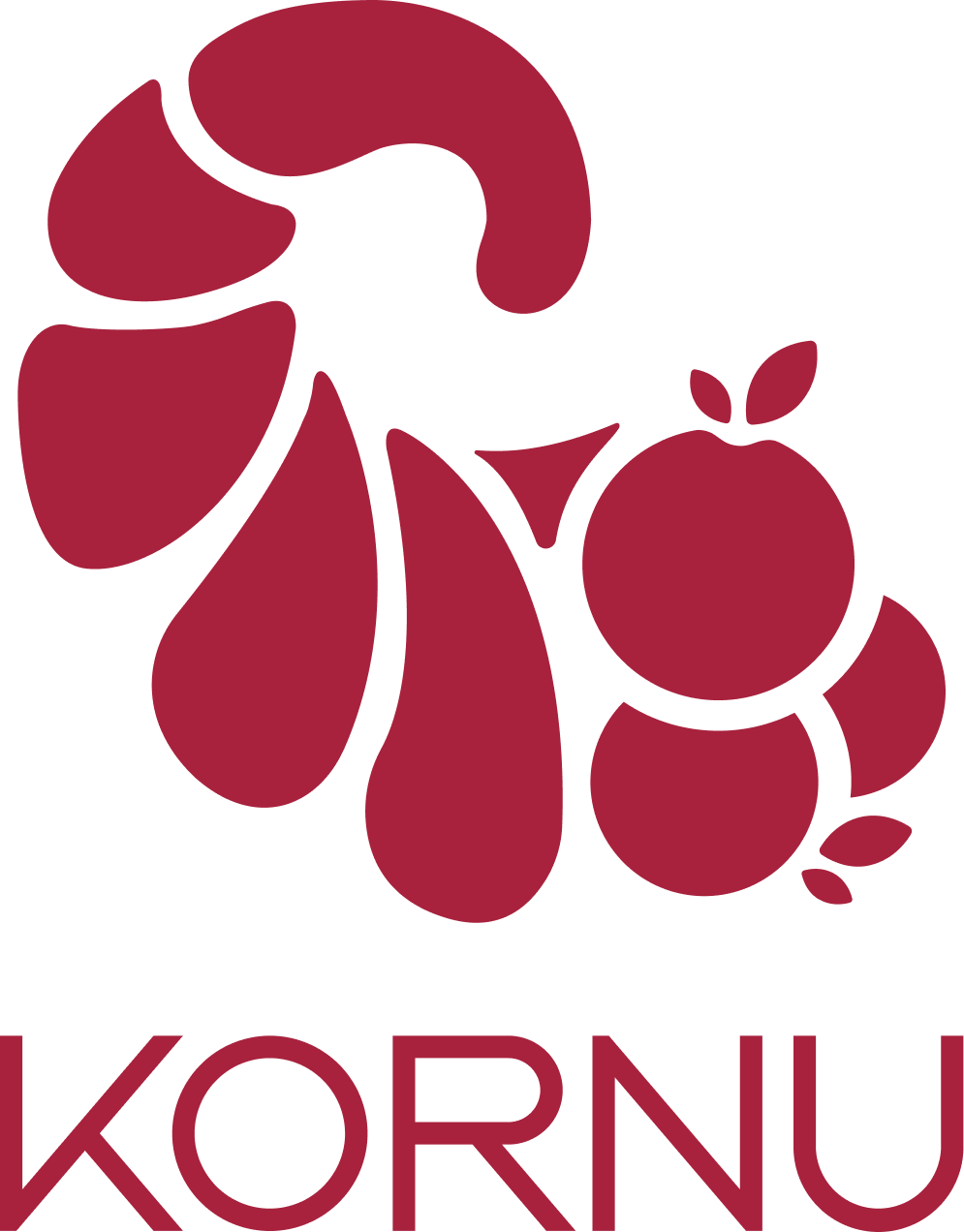Kornu POS